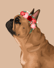 Load image into Gallery viewer, Pet Portrait + Solid Background + add ons