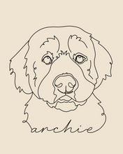 Load image into Gallery viewer, Line Drawing