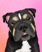 Load image into Gallery viewer, Pet Portrait + Fun Backdrop