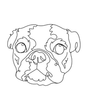 Load image into Gallery viewer, Line Drawing