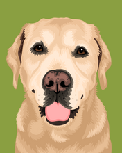 Load image into Gallery viewer, Pet Portrait + Solid Background