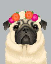 Load image into Gallery viewer, Pet Portrait + Solid Background + add ons