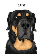 Load image into Gallery viewer, Pet Portrait + Solid Background