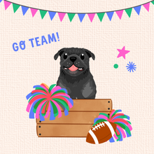 Load image into Gallery viewer, Football Pets