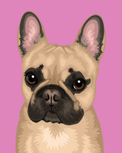 Load image into Gallery viewer, Pet Portrait + Solid Background