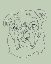 Load image into Gallery viewer, Line Drawing