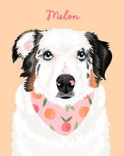 Load image into Gallery viewer, Pet Portrait + Solid Background + add ons