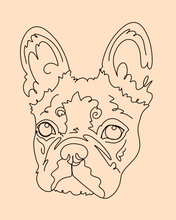 Load image into Gallery viewer, Line Drawing