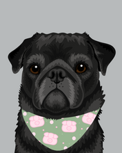 Load image into Gallery viewer, Pet Portrait + Solid Background + add ons
