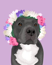 Load image into Gallery viewer, Pet Portrait + Solid Background + add ons