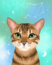 Load image into Gallery viewer, Pet Portrait + Fun Backdrop