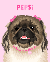 Load image into Gallery viewer, Pet Portrait + Solid Background + add ons