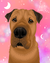 Load image into Gallery viewer, Pet Portrait + Fun Backdrop
