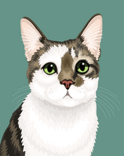 Load image into Gallery viewer, Pet Portrait + Solid Background