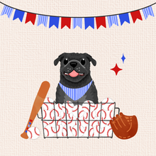 Load image into Gallery viewer, Baseball Pets!