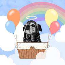 Load image into Gallery viewer, Rainbow Bridge Pets 💕🌈