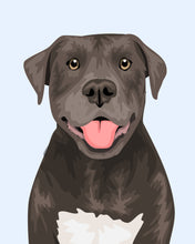 Load image into Gallery viewer, Pet Portrait + Solid Background