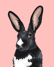 Load image into Gallery viewer, Pet Portrait + Solid Background