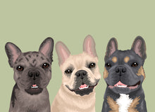 Load image into Gallery viewer, Pet Portrait + Solid Background