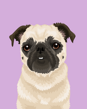 Load image into Gallery viewer, Pet Portrait + Solid Background
