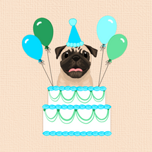 Load image into Gallery viewer, Birthday pets!