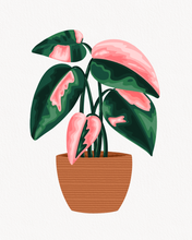 Load image into Gallery viewer, Funky Plant 2
