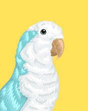 Load image into Gallery viewer, Pet Portrait + Solid Background