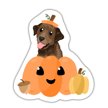 Load image into Gallery viewer, Breed Specific Pumpkin Stickers!