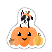 Load image into Gallery viewer, Breed Specific Pumpkin Stickers!