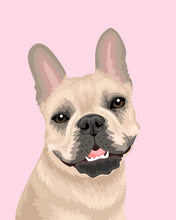 Load image into Gallery viewer, Pet Portrait + Solid Background