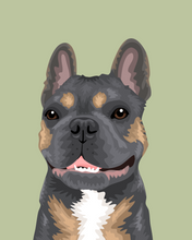 Load image into Gallery viewer, Pet Portrait + Solid Background