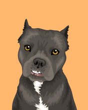 Load image into Gallery viewer, Pet Portrait + Solid Background