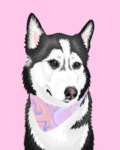 Load image into Gallery viewer, Pet Portrait + Solid Background + add ons