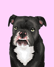 Load image into Gallery viewer, Pet Portrait + Solid Background