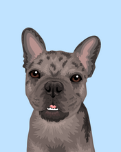 Load image into Gallery viewer, Pet Portrait + Solid Background