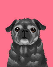 Load image into Gallery viewer, Pet Portrait + Solid Background