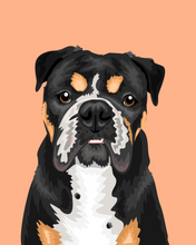 Load image into Gallery viewer, Pet Portrait + Solid Background