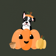 Load image into Gallery viewer, Pumpkin Pet Portrait (Halloween)