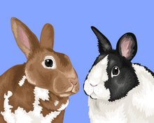 Load image into Gallery viewer, Pet Portrait + Solid Background