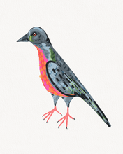 Load image into Gallery viewer, Passenger Pigeon
