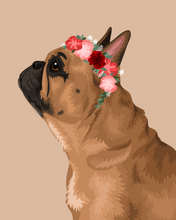 Load image into Gallery viewer, Pet Portrait + Solid Background + add ons
