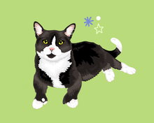 Load image into Gallery viewer, Full Body Pet Portrait
