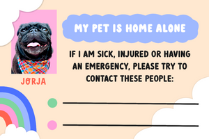 Pet Emergency Cards