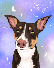 Load image into Gallery viewer, Pet Portrait + Fun Backdrop
