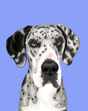 Load image into Gallery viewer, Pet Portrait + Solid Background
