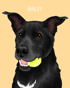 Pet Portrait + Solid Background + add ons