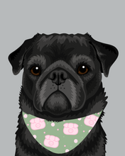 Load image into Gallery viewer, Pet Portrait + Solid Background + add ons
