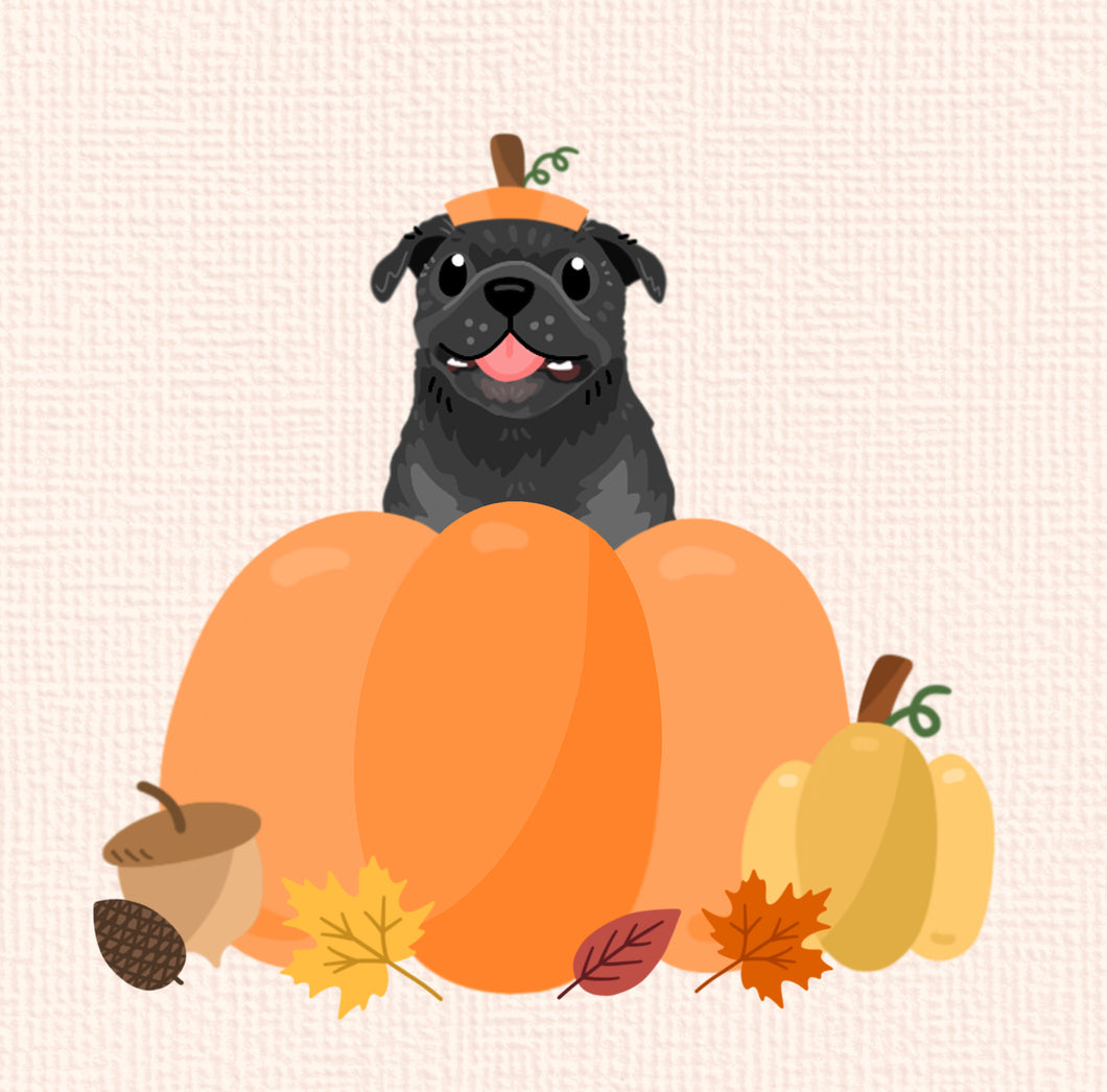 Pumpkin Pet Portrait (Fall)