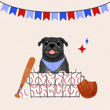 Load image into Gallery viewer, Baseball Pets!
