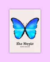 Load image into Gallery viewer, Butterfly &amp; Moth Art Prints
